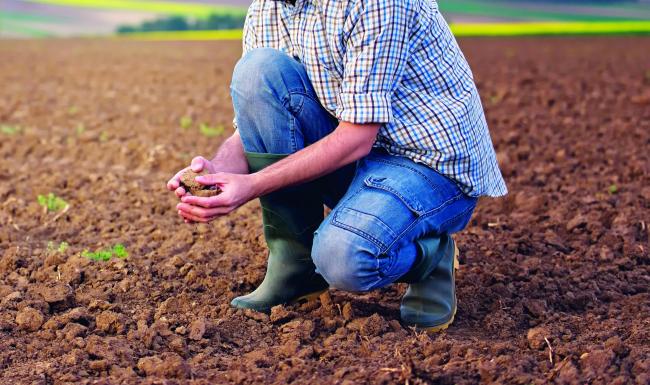 A farmer in his soil